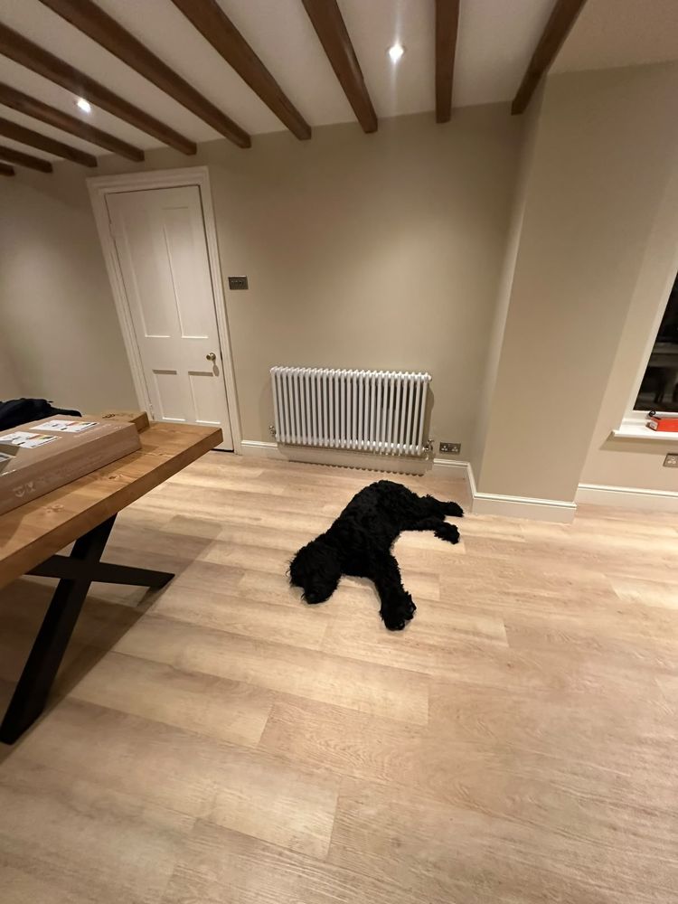 White column radiator in a dining room with a dog lying on the floor